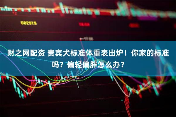 财之网配资 贵宾犬标准体重表出炉！你家的标准吗？偏轻偏胖怎么办？