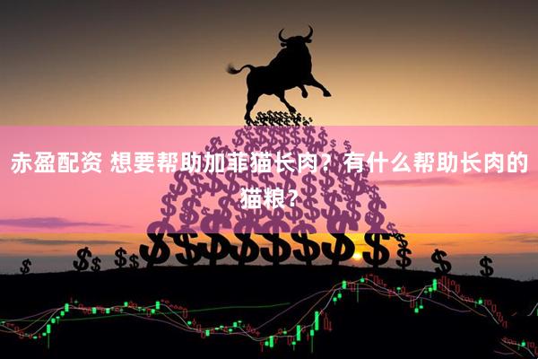 赤盈配资 想要帮助加菲猫长肉？有什么帮助长肉的猫粮？