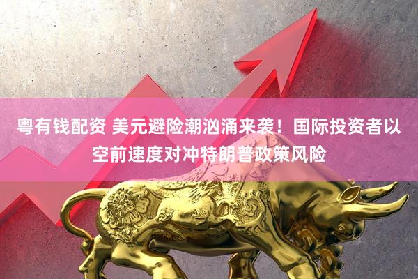粤有钱配资 美元避险潮汹涌来袭！国际投资者以空前速度对冲特朗普政策风险