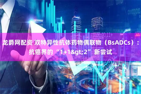 龙爵网配资 双特异性抗体药物偶联物（BsADCs）：抗癌界的 “1+1&gt;2” 新尝试