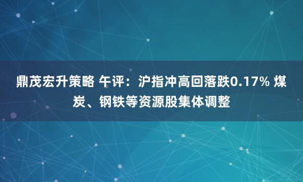 鼎茂宏升策略 午评：沪指冲高回落跌0.17% 煤炭、钢铁等资源股集体调整
